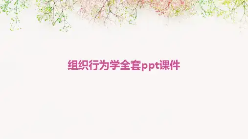 组织行为学全套ppt课件