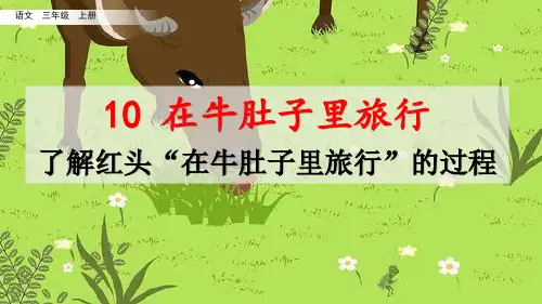 名师讲重点课件10在牛肚子里旅行(了解红头“在牛肚子里旅行”的过程)