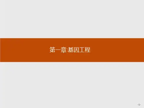 2021生物高中苏教版选修3课件：1.1 基因工程概述 