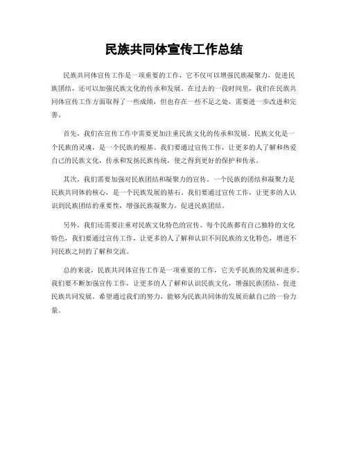 民族共同体宣传工作总结
