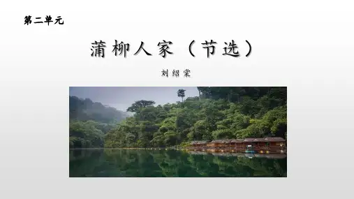 最新部编人教版初中九年级语文下册《蒲柳人家》优质教学课件
