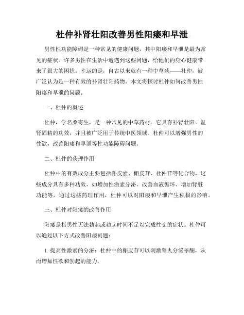 杜仲补肾壮阳改善男性阳痿和早泄