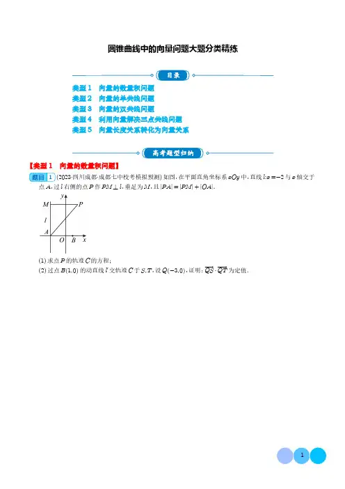 圆锥曲线中的向量问题大题分类精练(学生版)-高中数学