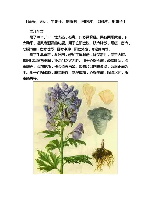 【乌头、天雄、生附子、黑顺片、白附片、淡附片、炮附子】