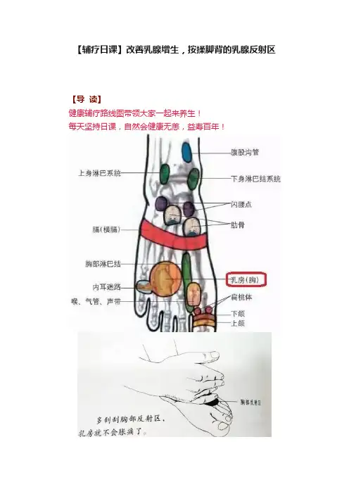 【辅疗日课】改善乳腺增生，按揉脚背的乳腺反射区