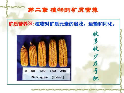 植物生理学2矿质营养1.2节