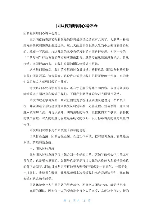团队复制培训心得体会