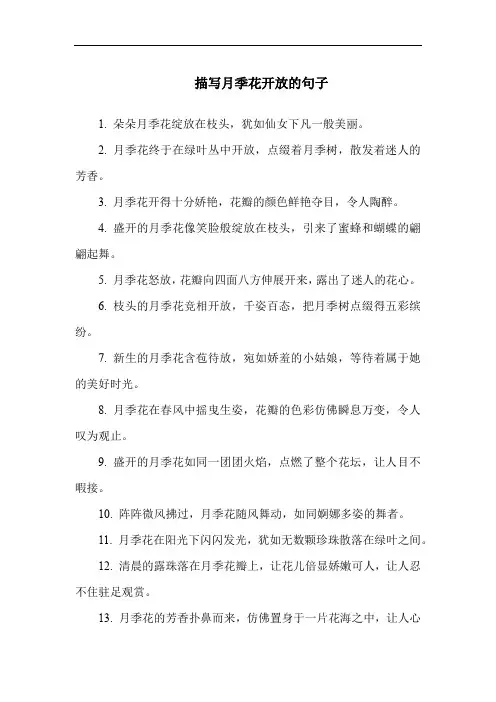 描写月季花开放的句子