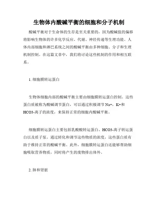生物体内酸碱平衡的细胞和分子机制