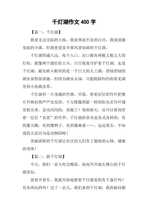 千灯湖作文400字