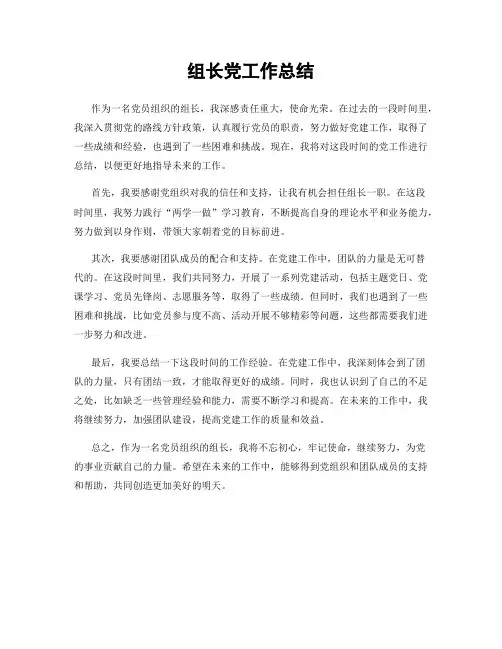 组长党工作总结