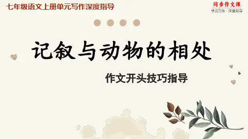 专题17 记叙与动物的相处 作文开头技巧 七年级语文上册单元写作深度指导(统编版2024 五四学制)