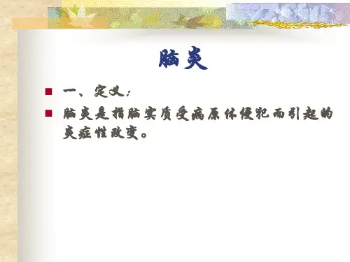 脑炎PPT模板