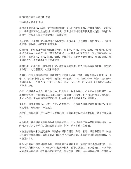 动物组织和器官的结构和功能