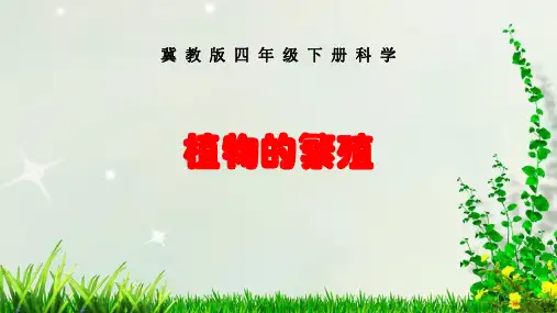 冀教版小学四年级下册科学《植物的繁殖》精编PPT课件 - 副本