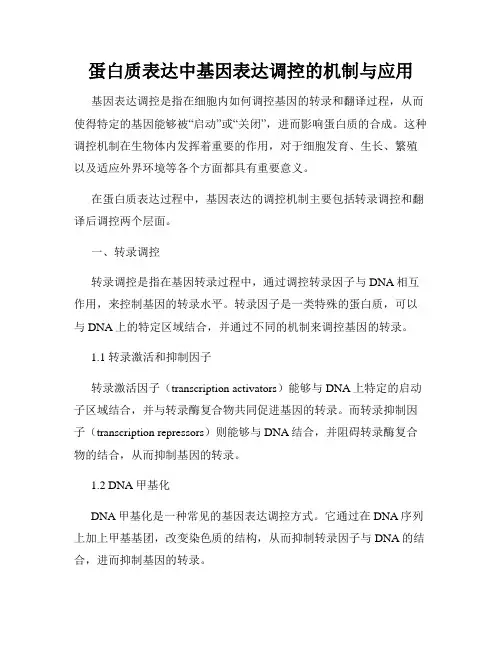 蛋白质表达中基因表达调控的机制与应用