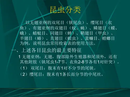 昆虫分类