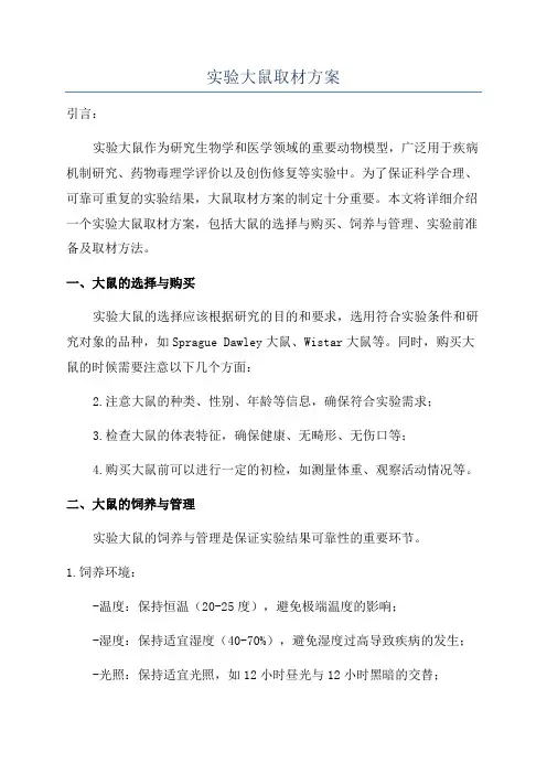 实验大鼠取材方案