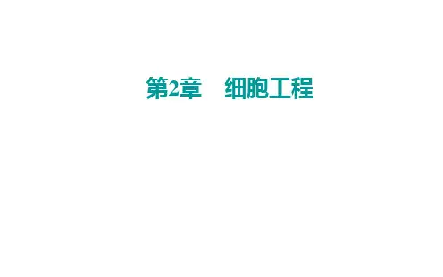 高中生物新人教版选择性必修3动物细胞培养课件(33张)