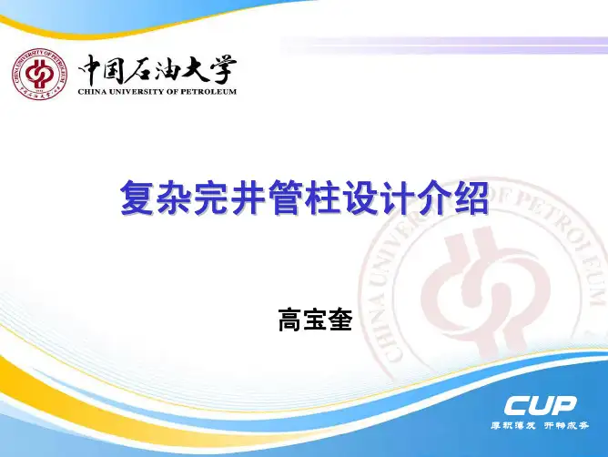 教学媒体8-复杂完井管柱介绍