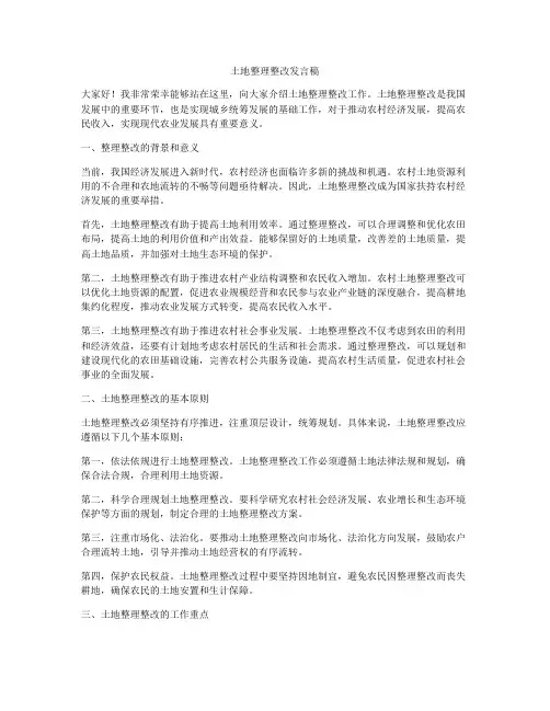 土地整理整改发言稿