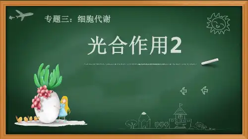 2021届高考生物一轮复习光合作用过程与应用【优秀课件】