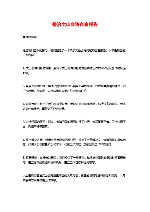 整治文山会海自查报告