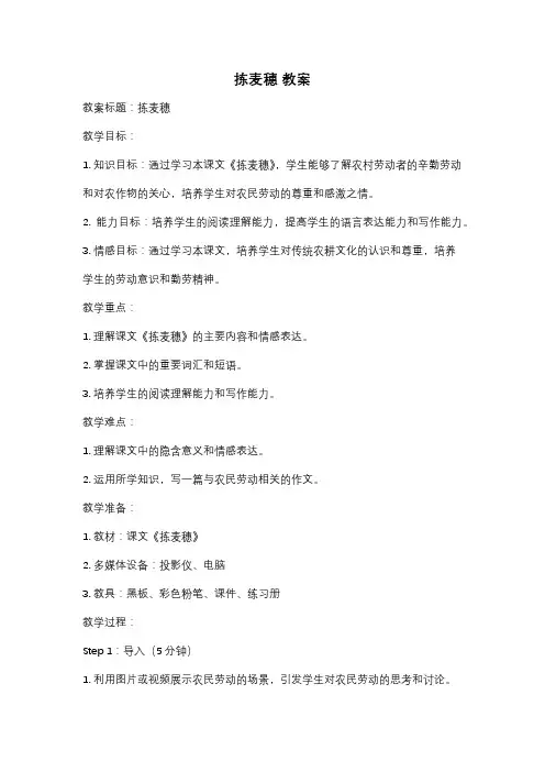 拣麦穗 教案