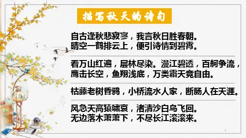 《故都的秋》ppt课件  
