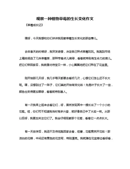 观察一种植物草莓的生长变化作文