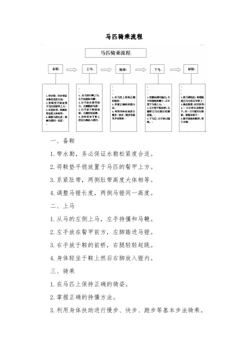 马匹骑乘流程