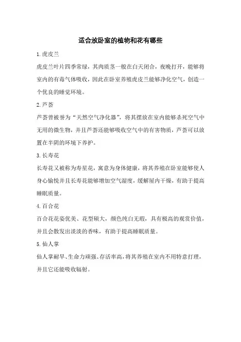 适合放卧室的植物和花有哪些