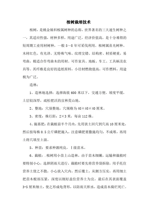 桉树栽培技术