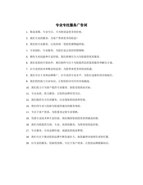 专业专注服务广告词
