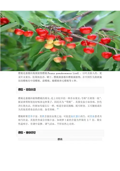 樱桃