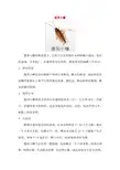 德国小蠊蟑螂介绍
