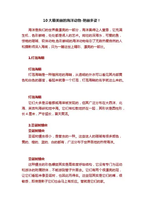 10大最美丽的海洋动物-艳丽多姿！