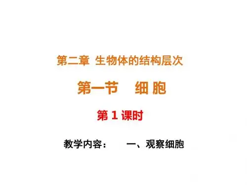 冀教版七年级生物上册第二章2.1细胞——观察细胞课件.ppt