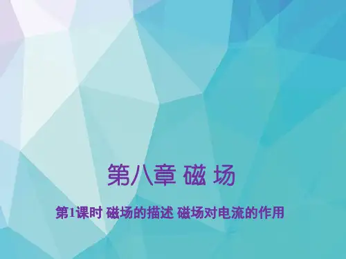 高考物理一轮复习3：8-1 磁场的描述 磁场对电流的作用精品课件