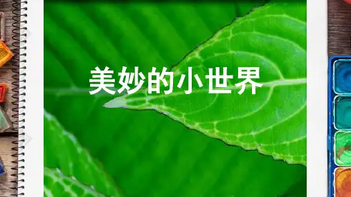 岭南版小学美术一年级(上)共19课全册教案