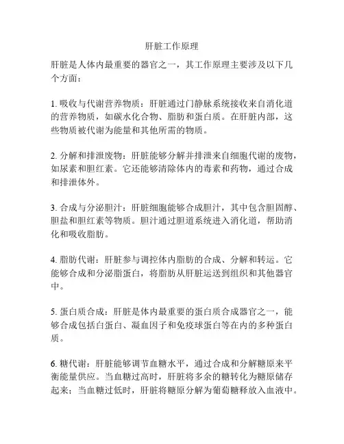 肝脏工作原理