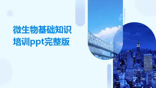微生物基础知识培训ppt完整版
