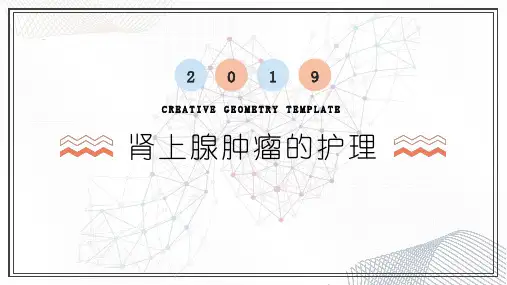 肾上腺肿瘤的护理