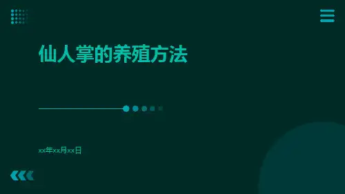 仙人掌的养殖方法