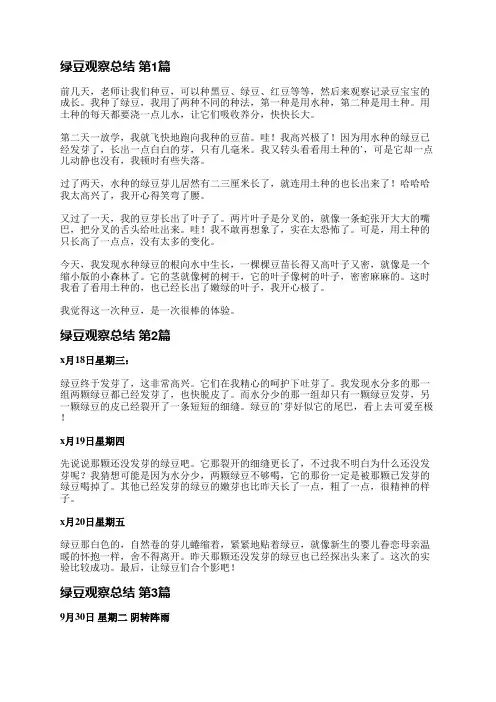 绿豆观察总结(共22篇)