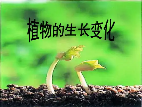 植物 的生长变化