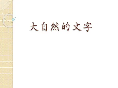 六年级上册语文公开课优秀课件-课文24 大自然的文字｜苏教版 (共25张PPT)