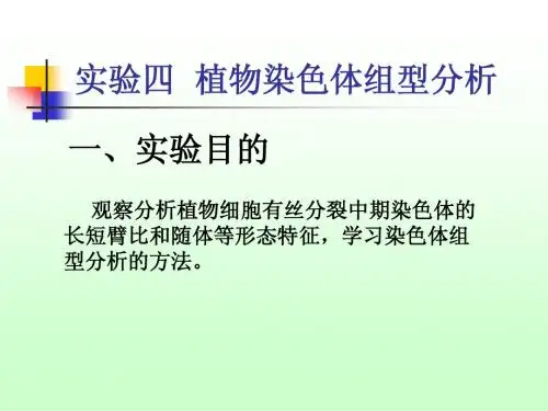 实验四 植物染色体组型分析