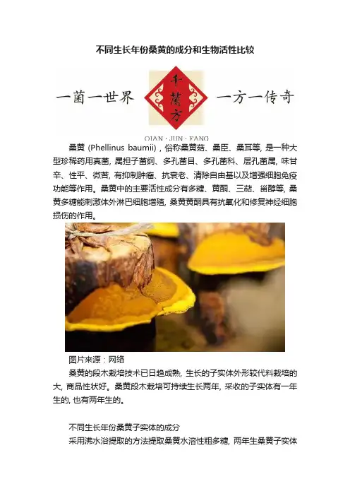 不同生长年份桑黄的成分和生物活性比较