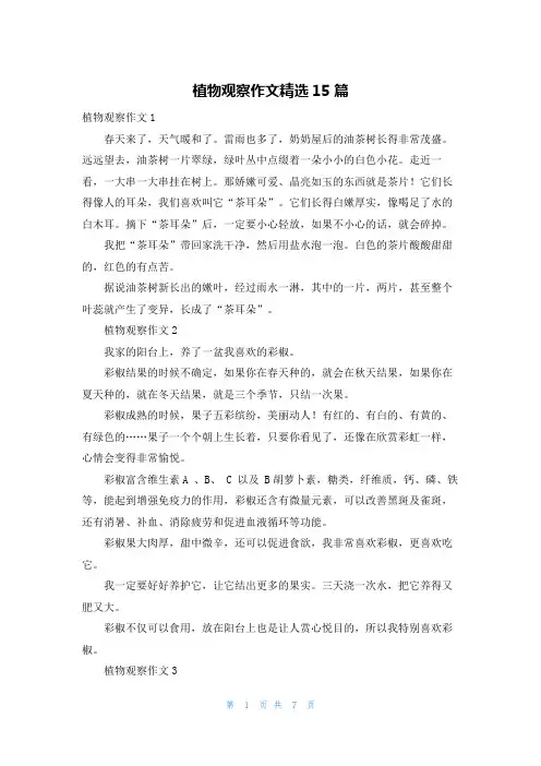 植物观察作文精选15篇